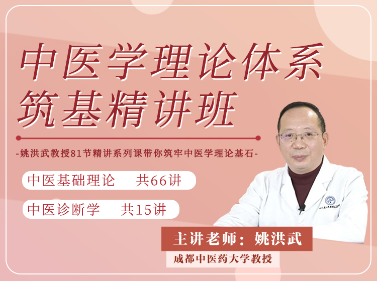 中医学理论体系筑基精讲班