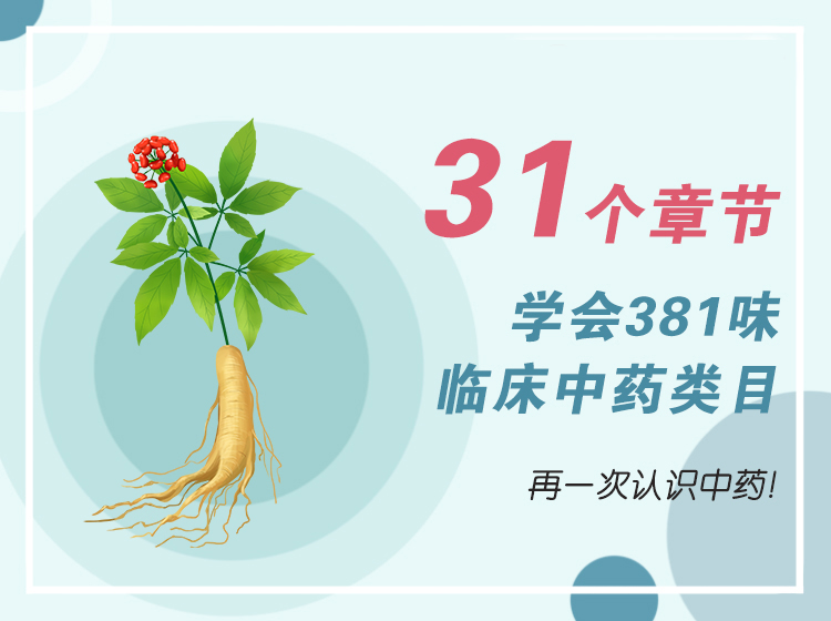 31个章节学会381味临床中药类目