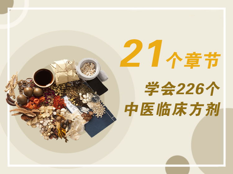 21个章节学会226个中医临床方剂