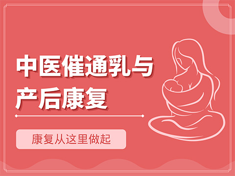 中医催通乳与产后康复技能培训班